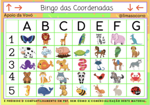 Bingo das Coordenadas