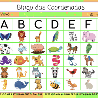 Bingo das Coordenadas