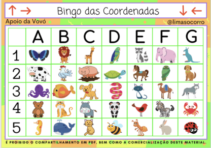 Bingo das Coordenadas