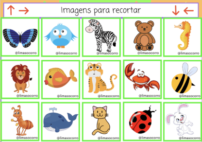 Quem é o meu amigo - Image 2