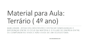 Terrário