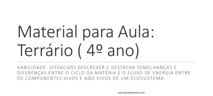 Terrário