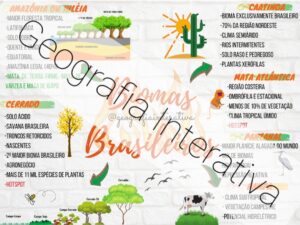 Mapa Mental Biomas
