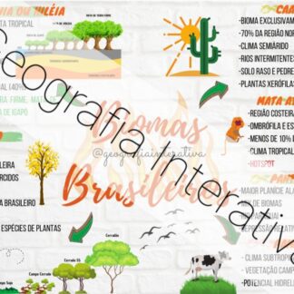 Mapa Mental Biomas