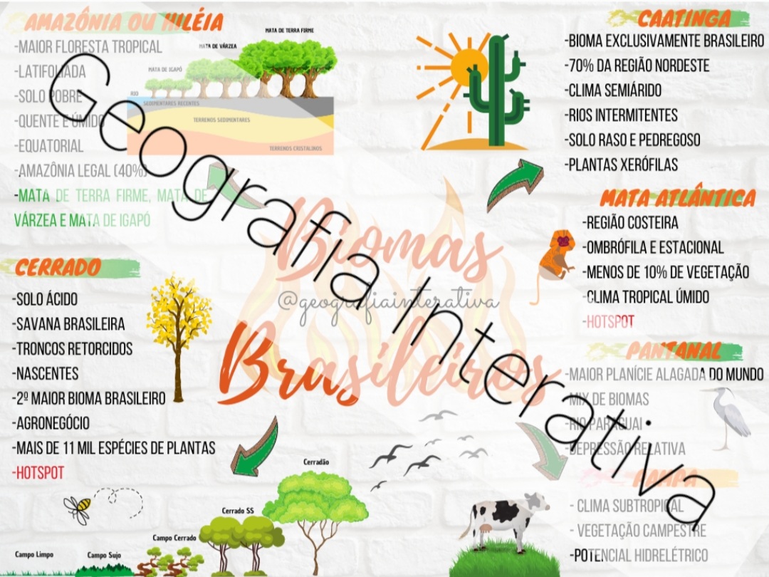 Mapa Mental Biomas