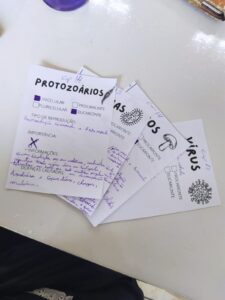 Ficha de microorganismos