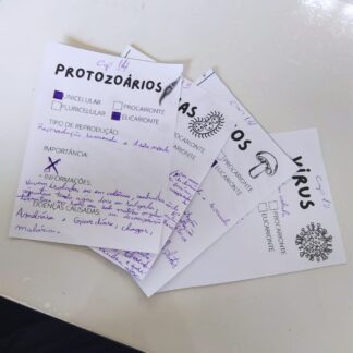 Ficha de microorganismos