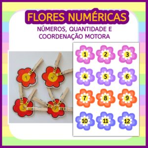 Flores e Números
