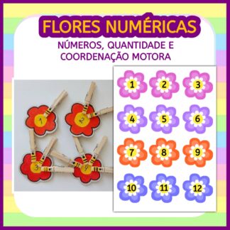 Flores e Números