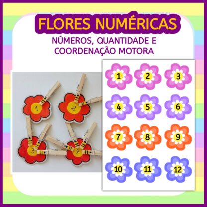 Flores e Números