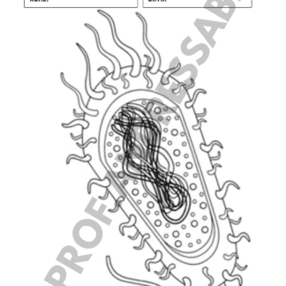 CÉLULA PROCARIONTE PARA COLORIR