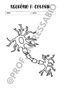Neurônio para colorir