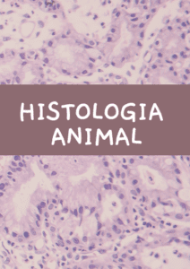 HISTOLOGIA ANIMAL