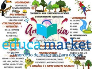 Mapa Mental Amazônia