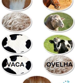 Pareamento dos animais da fazenda