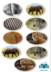 Pareamento animais selvagens