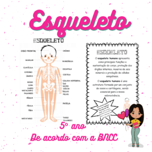 Folha conceito esqueleto