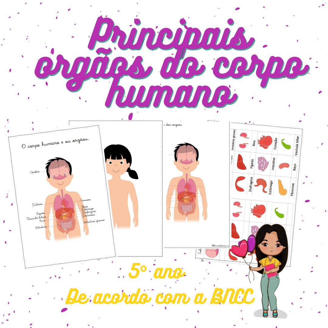 Ciclo da água (9)|Orgão corpo