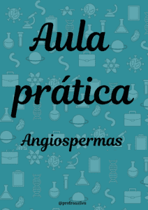 Aula prática Angiospermas