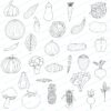 CLIPART hortaliças - p&b e colorido (PNG) - Image 2