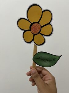 KIT FAÇA BONITO