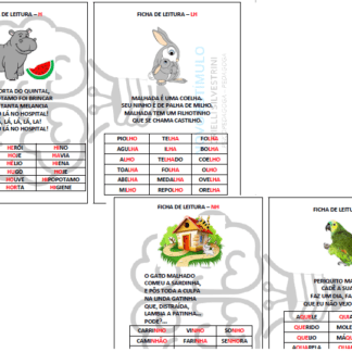 FICHA DE LEITURA DE SILABAS COMPLEXAS - COLORIDA