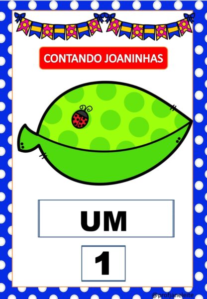 CONTANDO JOANINHAS