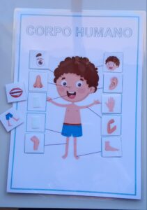 Corpo Humano