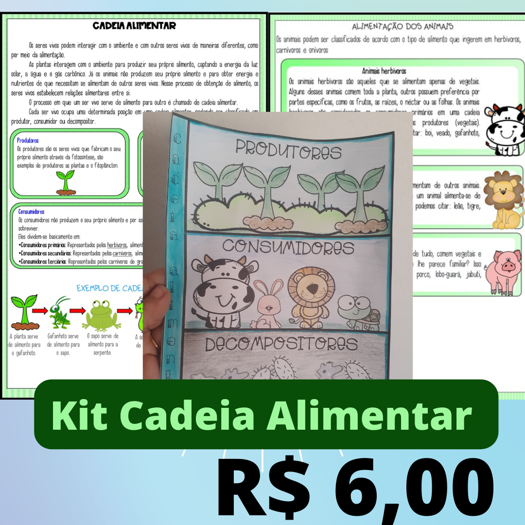 Cadeia alimentar atividades