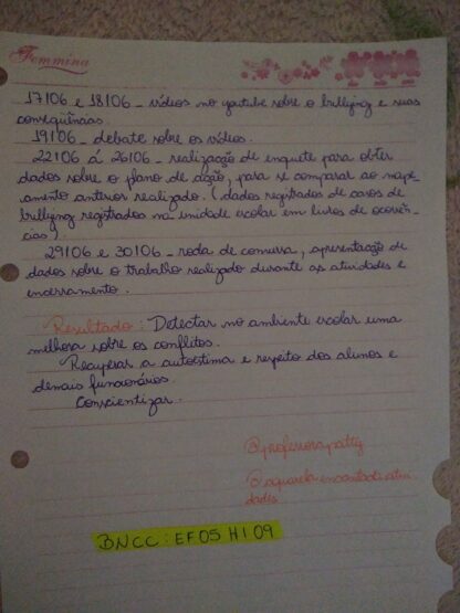 Plano de ação - Image 4