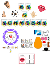 OS 5 SENTIDOS