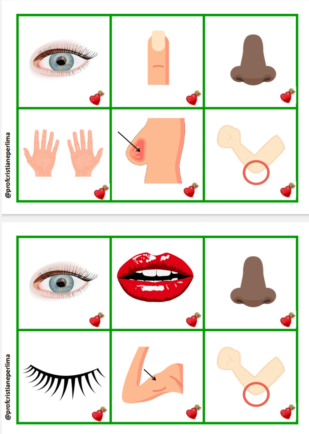 Bingo do corpo humano