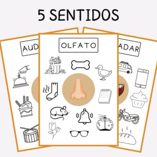 Atividade 5 sentidos do corpo