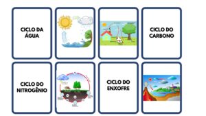 Ciclos biogeoquímicos