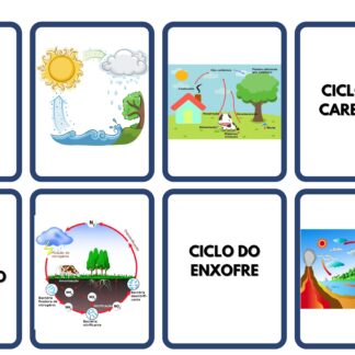 Ciclos biogeoquímicos