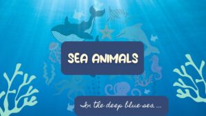 Jamboard – Animais Marinhos