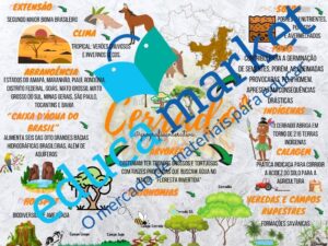 Mapa mental Cerrado