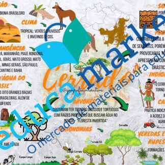 Mapa mental Cerrado
