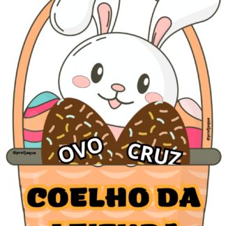Coelhinho da leitura