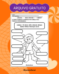 O Corpo Humano- atividade pedagógica grátis