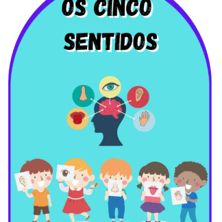 Luva musical dos cinco sentidos