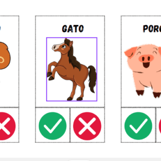 Certo ou Errado