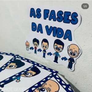 As fases da vida humana