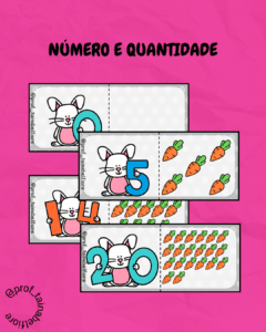 Número e Quantidade- Coelhos