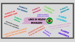 Lince do Relevo Brasileiro