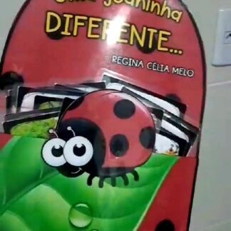 UMA JOANINHA DIFERENTE