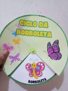 Ciclo da borboleta