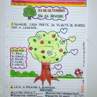 SUPER COMBO Data Comemorativas - 2° Semestre