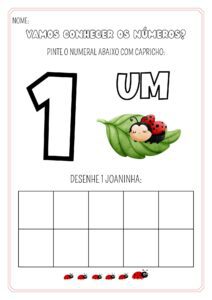 Vamos Conhecer os números?