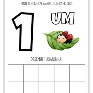 Vamos Conhecer os números?